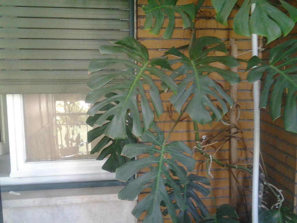 Olimpica Relais Guest House روما المظهر الخارجي الصورة